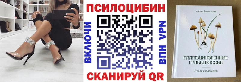 Купить  Алушта  Галлюциногенные грибы MAGIC MUSHROOMS 
